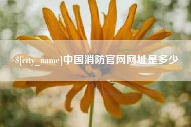 那曲中国消防官网网址是多少
