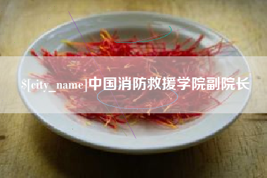 那曲中国消防救援学院副院长