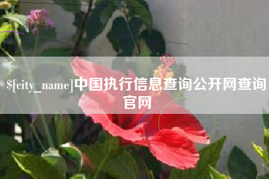 那曲中国执行信息查询公开网查询官网