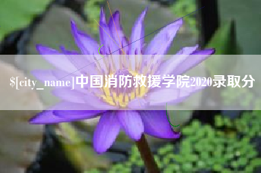 那曲中国消防救援学院2020录取分