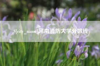 那曲河南消防大学分数线