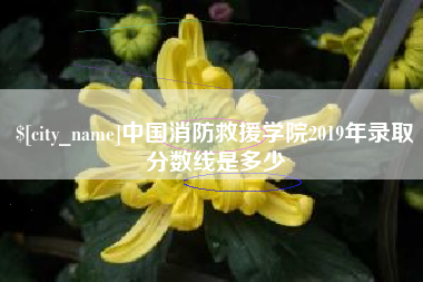那曲中国消防救援学院2019年录取分数线是多少