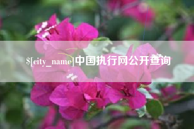 那曲中国执行网公开查询