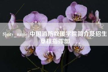 那曲中国消防救援学院简介及招生章程指挥部