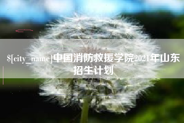 那曲中国消防救援学院2021年山东招生计划