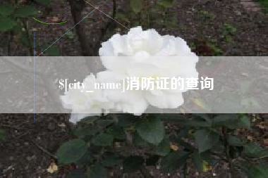 那曲消防证的查询