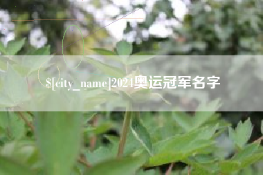 那曲2024奥运冠军名字