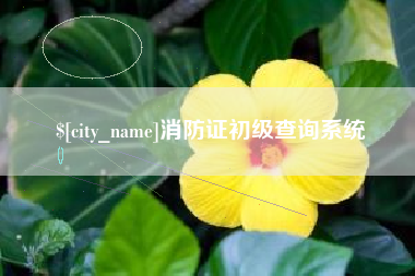 那曲消防证初级查询系统