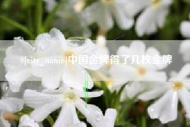 那曲中国金牌得了几枚金牌