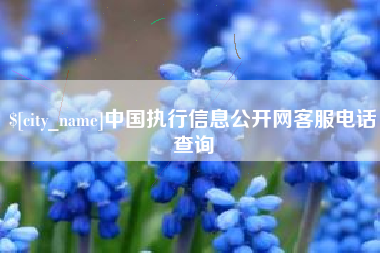 那曲中国执行信息公开网客服电话查询