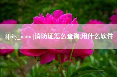 那曲消防证怎么查询,用什么软件