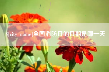 那曲全国消防日的日期是哪一天