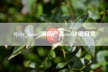 那曲消防产品cccf认证目录