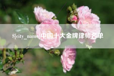 那曲中国十大金牌律师名单