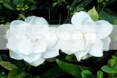 那曲现在中国金牌是多少