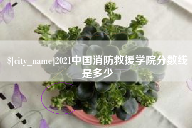 那曲2021中国消防救援学院分数线是多少