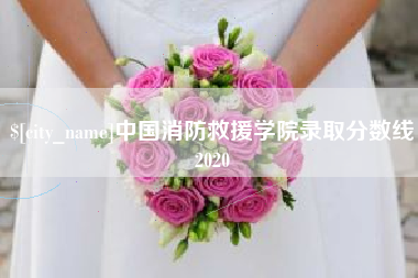 那曲中国消防救援学院录取分数线2020