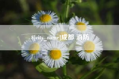 那曲成都 消防