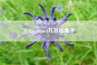 那曲九宫格盘子