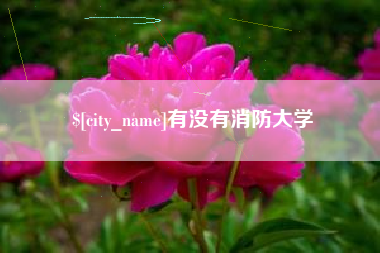 那曲有没有消防大学