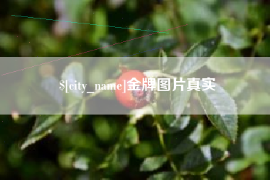 那曲金牌图片真实