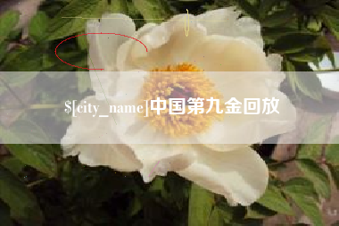 那曲中国第九金回放