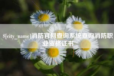 那曲消防官网查询系统查询消防职业资格证书