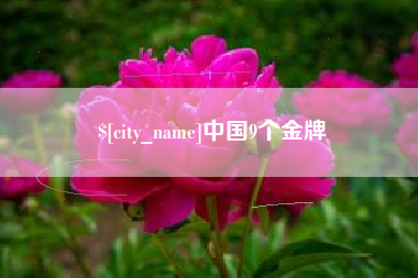 那曲中国9个金牌