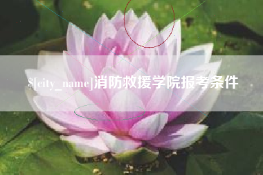 那曲消防救援学院报考条件