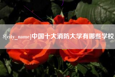那曲中国十大消防大学有哪些学校