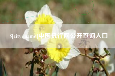 那曲中国执行网公开查询入口