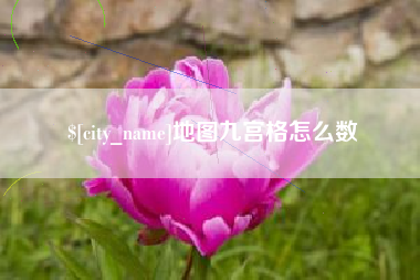 那曲地图九宫格怎么数