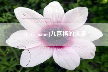 那曲九宫格的来源