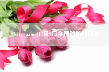 那曲11月9日全国消防日图片