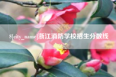 那曲浙江消防学校招生分数线