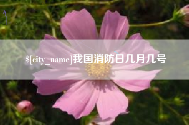 那曲我国消防日几月几号
