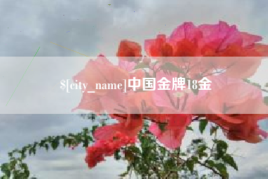 那曲中国金牌18金