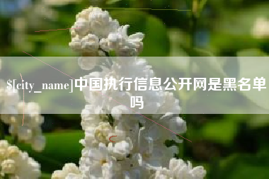 那曲中国执行信息公开网是黑名单吗