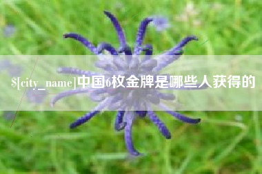 那曲中国6枚金牌是哪些人获得的