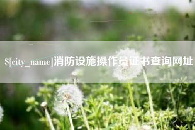 那曲消防设施操作员证书查询网址