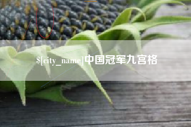 那曲中国冠军九宫格