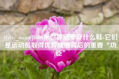 那曲5000米世界冠军穿什么鞋-它们是运动员取得优异成绩背后的重要“功臣”