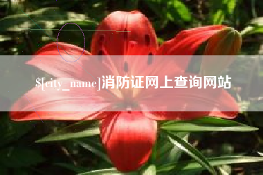 那曲消防证网上查询网站