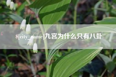那曲九宫为什么只有八卦