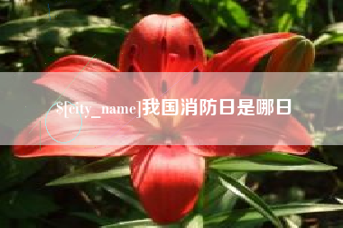 那曲我国消防日是哪日