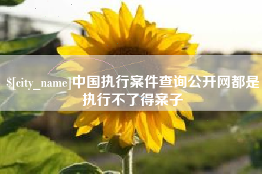 那曲中国执行案件查询公开网都是执行不了得案子