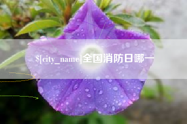 那曲全国消防日哪一