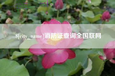 那曲消防证查询全国联网