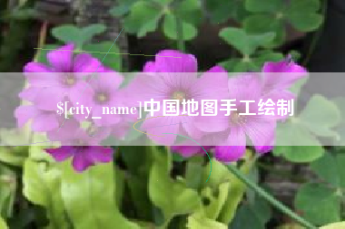 那曲中国地图手工绘制