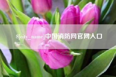 那曲中国消防网官网入口